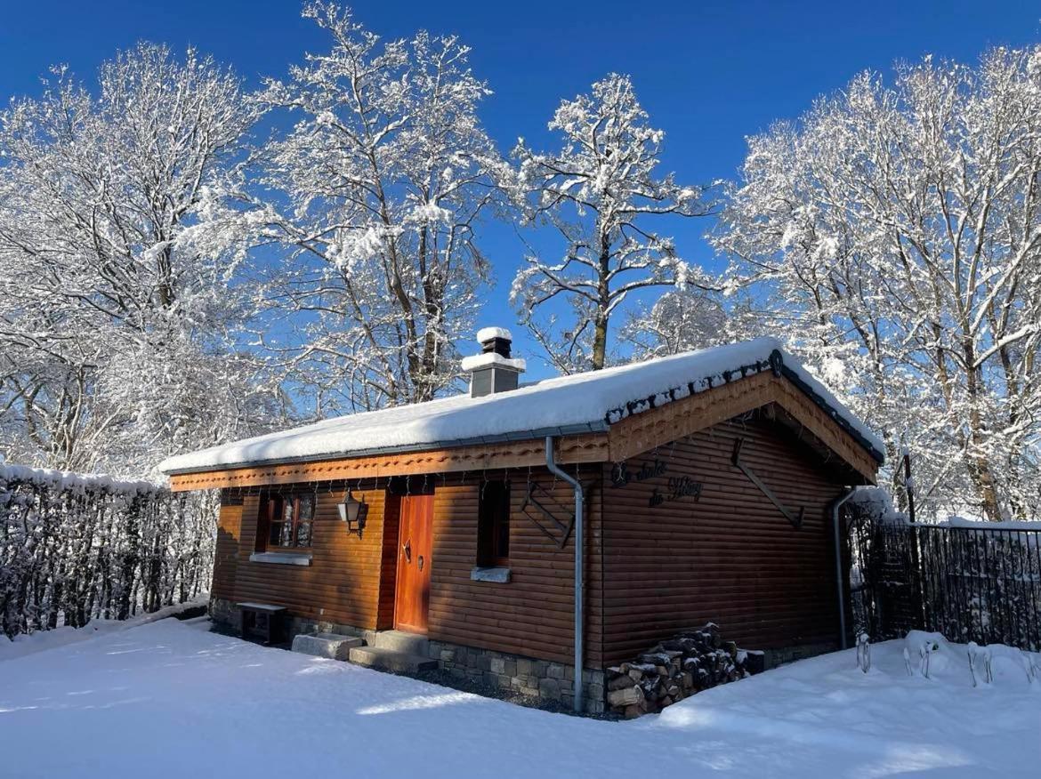 Le Chalet Du Helivy Жале Екстериор снимка